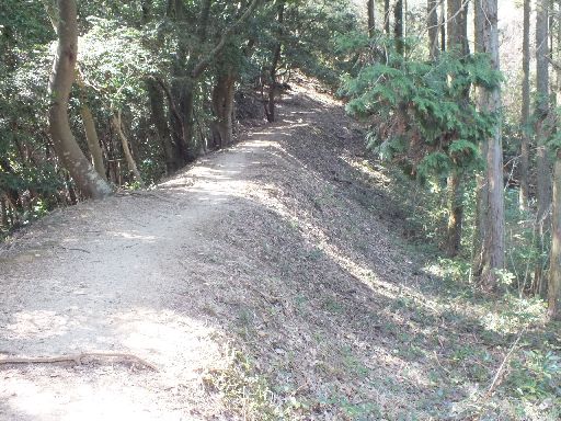 DSCF0180.jpg