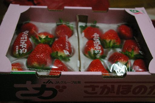 IMGP0732_201401312030274c6.jpg