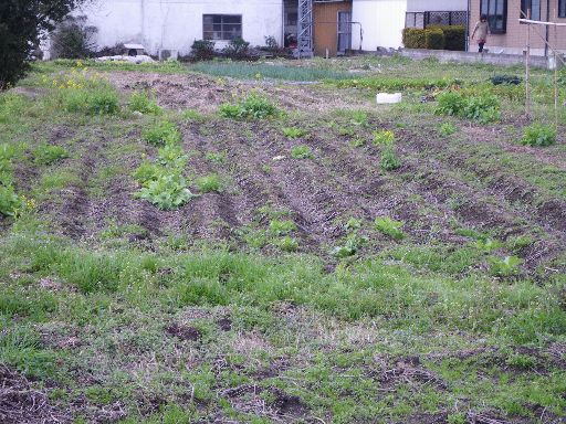 IMGP0864_20120310224028.jpg