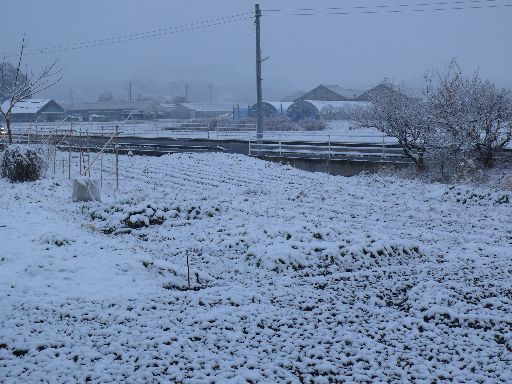 P1270866.jpg