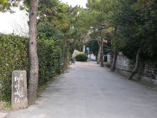 P1280077.jpg