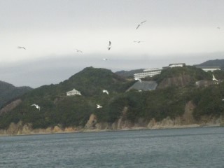 2013吉井鳴門5