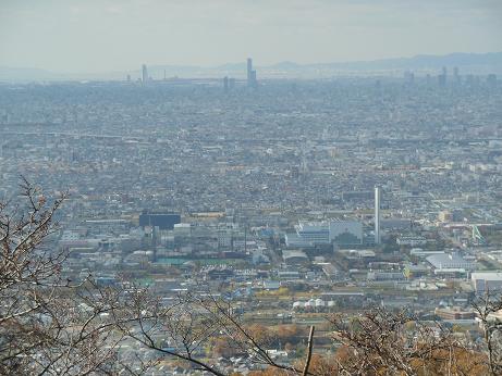 DSCN0732.jpg
