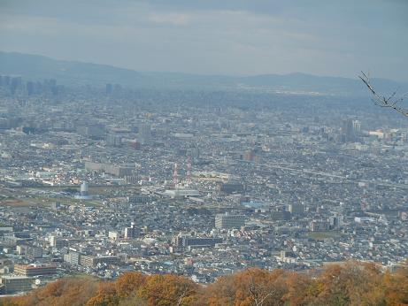 DSCN0733.jpg