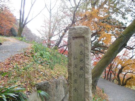 DSCN0737.jpg