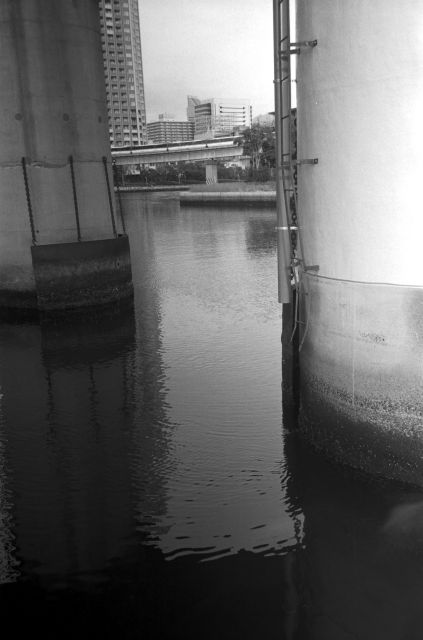 冬の水辺01b