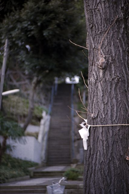 白玉の実力01b