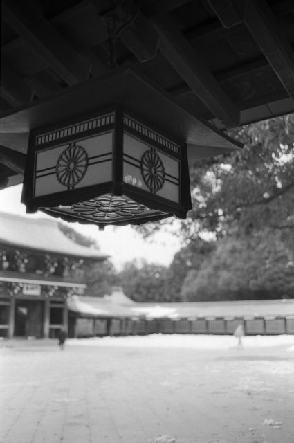 寒々01d