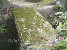$風に吹かれて、風になりたい ~六甲山麓里山便り~-橋