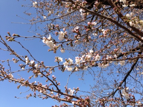 IMG_0085.jpg