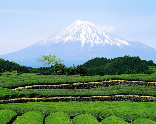 yama01.jpg
