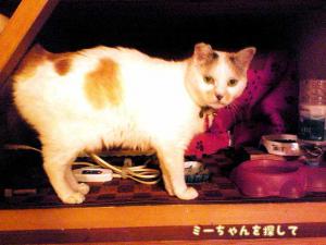 でんすけ