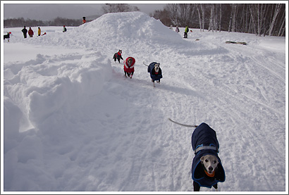 20130119_102.jpg