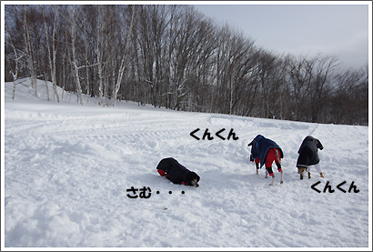 20130119_103.jpg