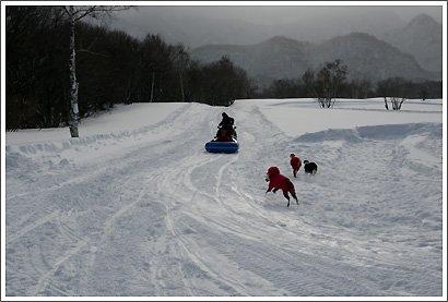 20130119_107.jpg