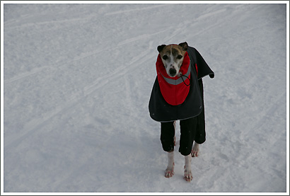 20130119_109.jpg