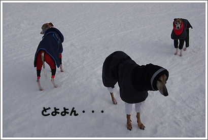 20130119_110.jpg
