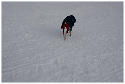 20130119_113.jpg