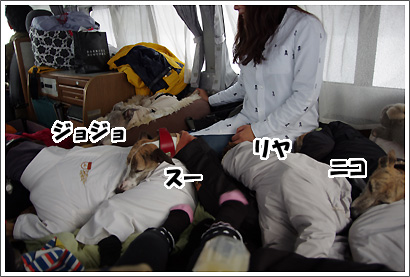 20130119_117.jpg