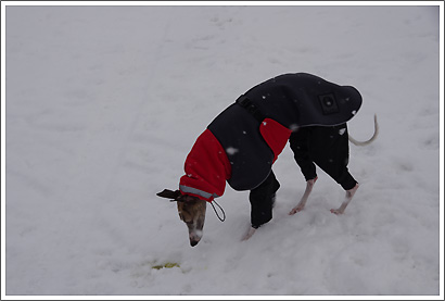 20130119_205.jpg