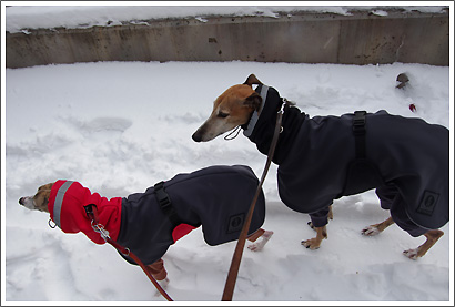 20130120_22.jpg