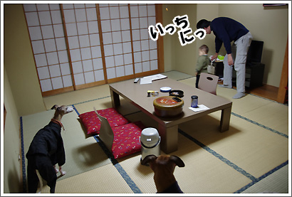 20130120_9.jpg