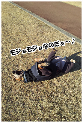 20130129_10.jpg
