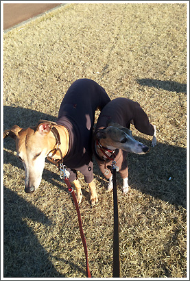 20130129_16.jpg
