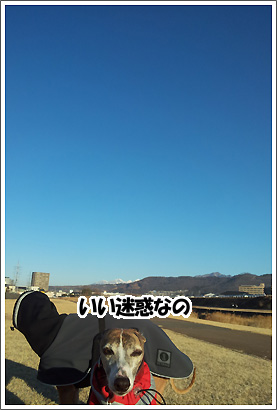 20130129_4.jpg