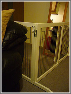 20130201_21.jpg