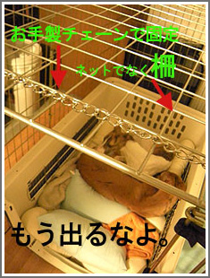 20130201_22.jpg
