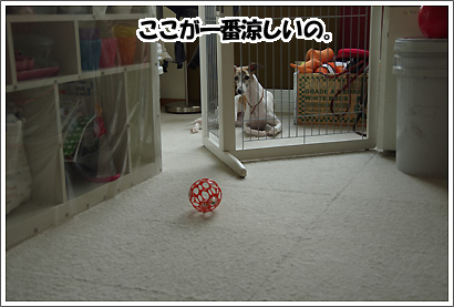 20130201_7.jpg