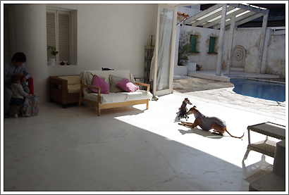 20130203_15.jpg