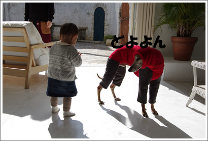20130203_20.jpg