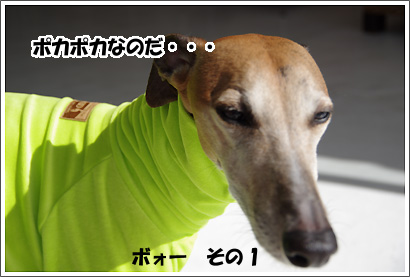20130203_3.jpg