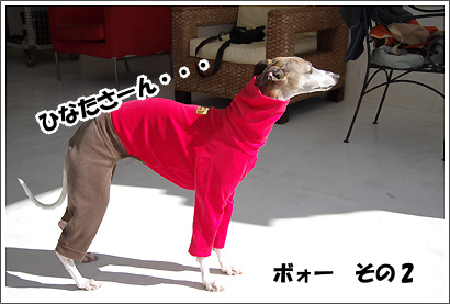 20130203_4.jpg