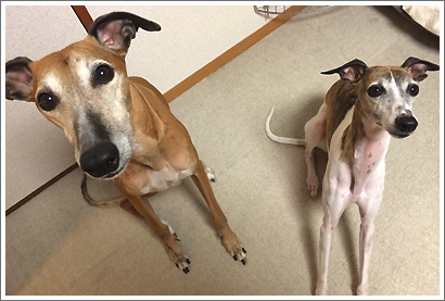 20131126_11.jpg