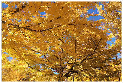 20131126_8.jpg