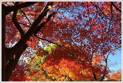 20131126_9.jpg