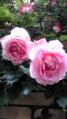 20130430163506.jpg