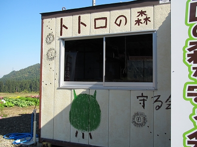 トトロの木