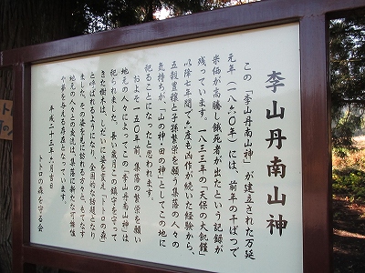 トトロの木
