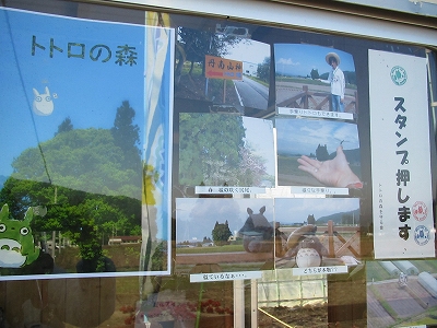 トトロの木