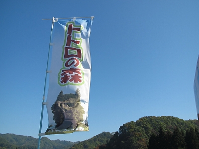 トトロの木