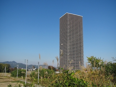 スカイタワー41