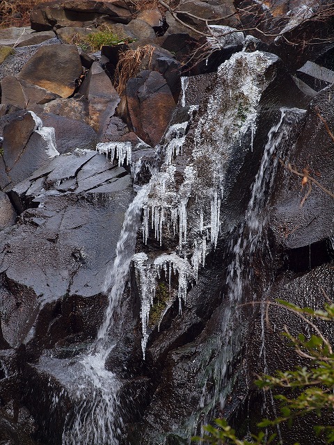 P1262856s-.jpg