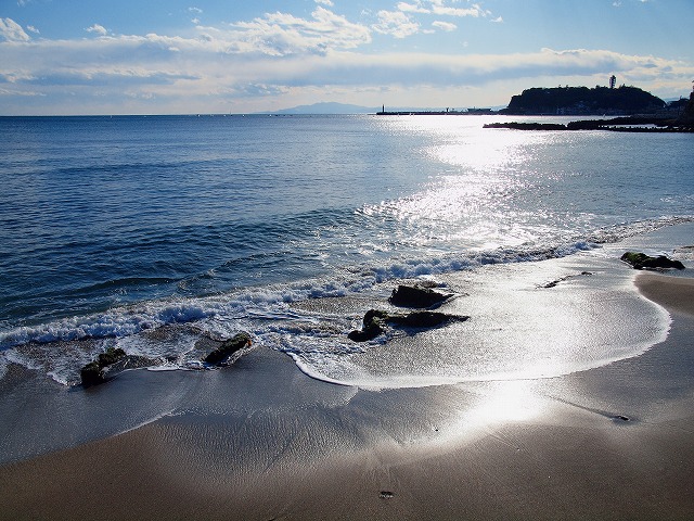 s-P2181560.jpg