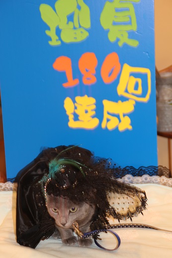 プレミアム 2014-2-23-3