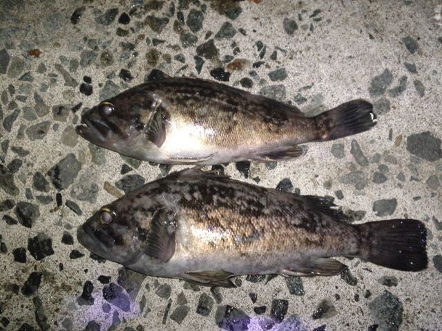 2012_04_07_06_R.jpg