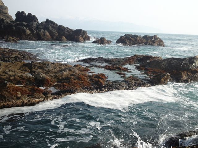 PAP_1183_R.jpg